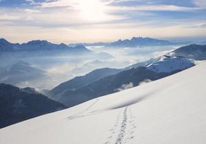 飞牛安装镜像文件和引导工具下载地址